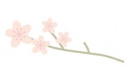 桜の枝